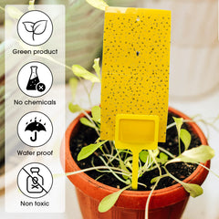 Qualirey plastic holder stuck in potting soil for stable placement