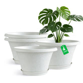 Quarut front view of 4-pack pots showing decorative finish and compact footprint