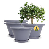 Quarut front view of four 12-inch pots showing color options and coordinated set