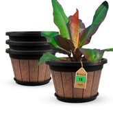 Quarut 16 inch barrel planter front view shows rustic look and visual appeal