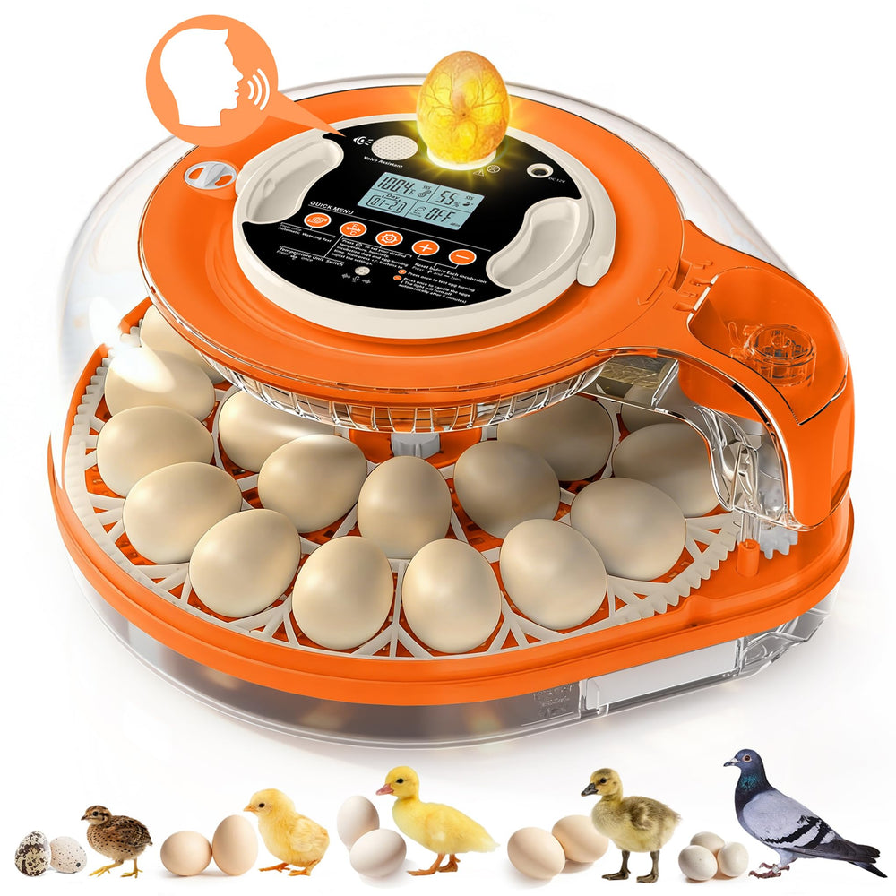 QVKHPCL front view showing incubator capacity and compact footprint