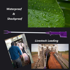 RANCH CHOICE product in use guiding cattle during loading for efficient movement