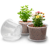 RAOOKIF front view of 10 inch pot showing clean design and stability