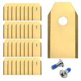 REEYEAR 36-pack front packaging shows quantity and value for quick replacements