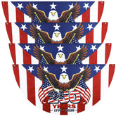 Remagr front view of 250th anniversary flag pack showing bold patriotic design and easy display