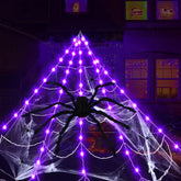 Remagr front packaging of spider web set showing contents and curb appeal