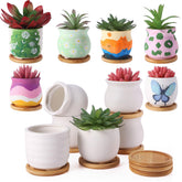 Remerry front packaging showing 18 white ceramic pots and bamboo trays promoting organization