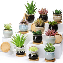 Remerry front view of 12 colorful pots showing variety and coordinated look