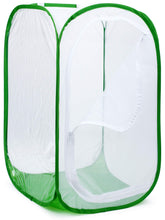 RESTCLOUD front view of large terrarium showing spacious interior and stability for rearing