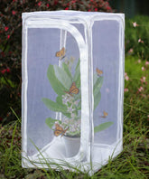 RESTCLOUD front view open habitat showing roomy safe space for butterflies