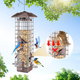 ReTang front view showing metal cage and secure feeding ports, keeps birds feeding safely