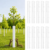 RGJ front view of 10-pack tree grow tubes showing packaging and contents for protection