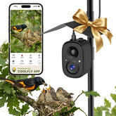 richbird front camera on pole showing clear mounting and view benefit