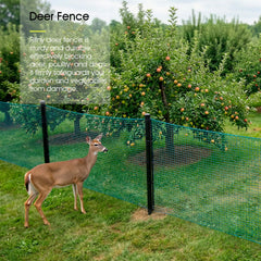 RIFNY netting covering vegetable bed to protect crops while allowing sunlight