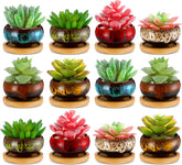 RimCereal front packaging display showing 12 colorful pots and tray, neat set benefit