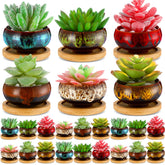 RimCereal front view of colorful glazed pots showing bright display benefit