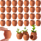 RimCereal front view of 40 mini terracotta pots showing full set and packaging, clean display benefit