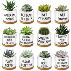 Rojuna white ceramic set front display showing clean aesthetic and playful phrases