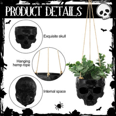 Romooa hanging planter with succulent in use benefit: compact display for small plants