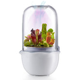 Ronjregan front view terrarium showing compact smart planter and elegant dome benefit display