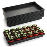 RooTrimmer front view of 10-pack trays showing uniform size and neat packing