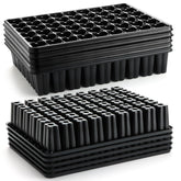 RooTrimmer front view of 54-cell plug tray showing organized planting benefit