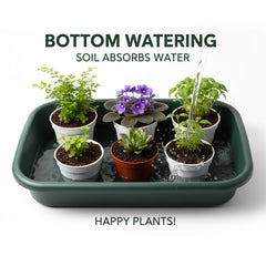 RooTrimmer tray showing water reservoir for batch bottom-watering and reduced spills