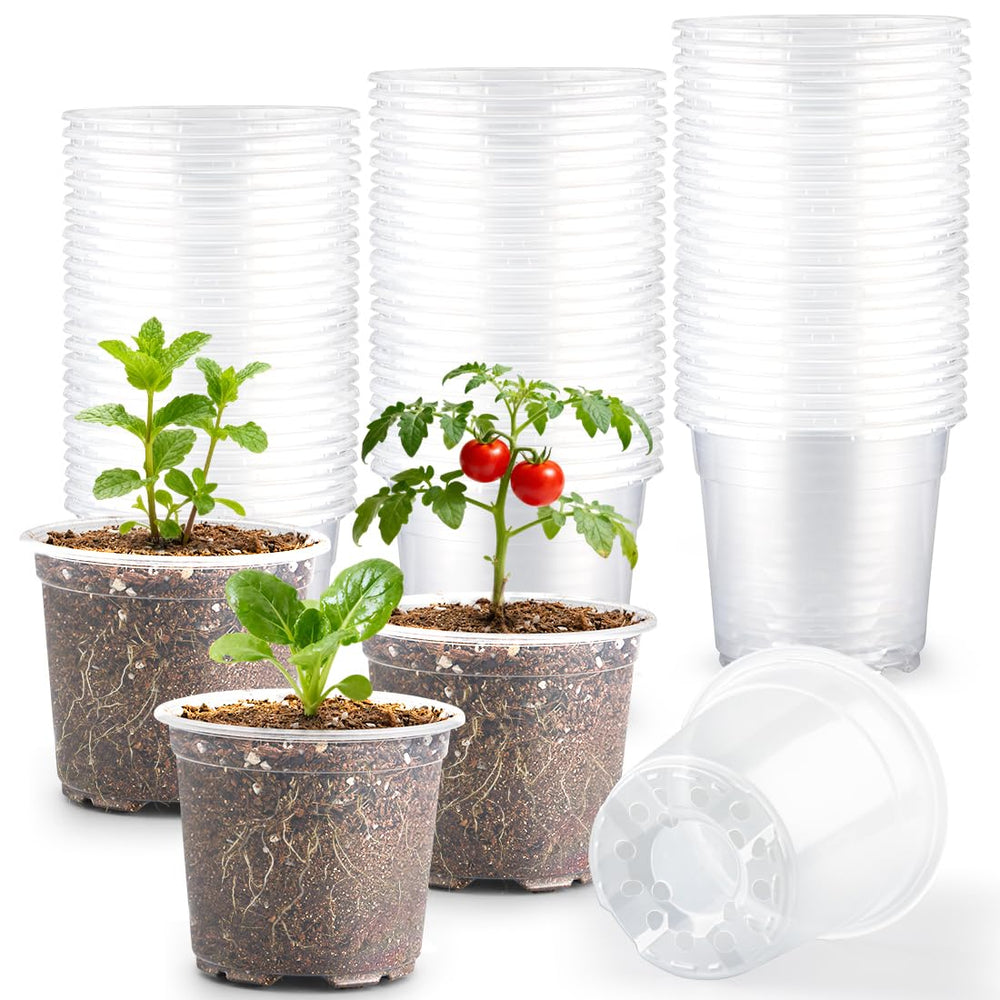 RooTrimmer clear pot front view showing full shape and benefit of root visibility
