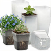 RooTrimmer clear square pot front view showing shape and space savings