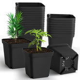 RooTrimmer front view of 30 square pots showing neat stack and value