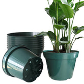 RooTrimmer 10-pack front view showing green 10-inch pots and consistent sizing benefit