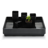 RooTrimmer front packaging with pots and trays, organized for easy setup