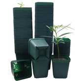 RooTrimmer front view of 90-piece green square pots, shows organized set benefit