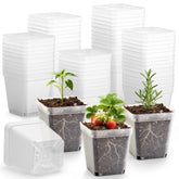 RooTrimmer front view of clear seedling pots showing neat 120-pack and label, easy storage benefit