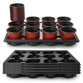 RooTrimmer front view showing 60 pots and five trays for organized propagation