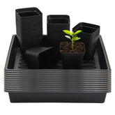 RooTrimmer front view showing full tray and pots, easy organized propagation