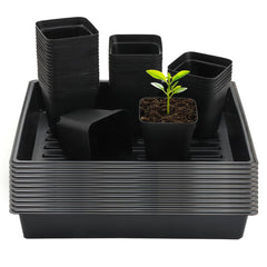 RooTrimmer front view showing full tray and pots, easy organized propagation