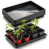 RooTrimmer front view of 10-pack seedling trays showing organized staging benefit