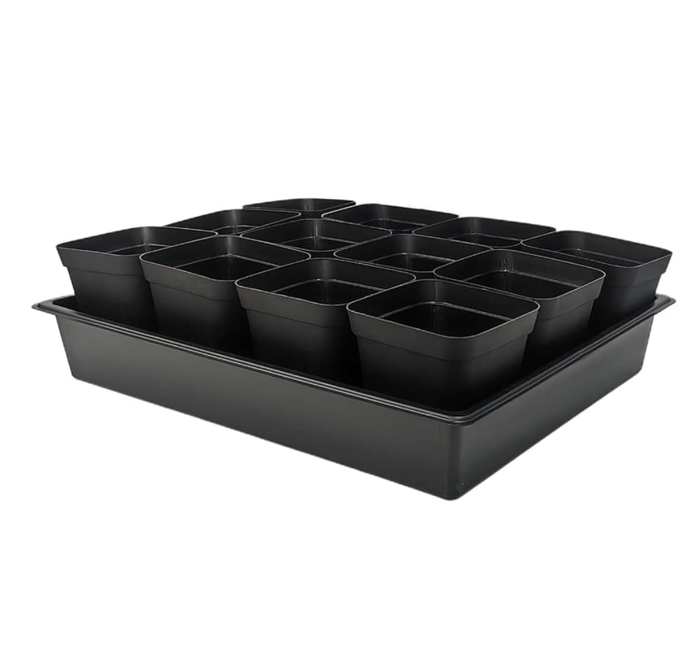 RooTrimmer front packaging showing full 60-pot and 5-tray set, ideal for starter gardens