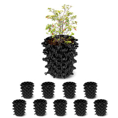RooTrimmer front view assembled planter showing sturdy rim and shape for easy handling