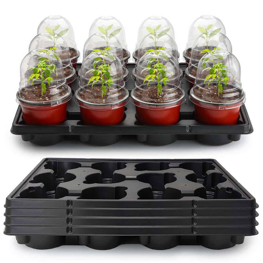 RooTrimmer front view of tray with 12 pots showing organized transport benefit