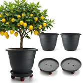 RooTrimmer front view of three-pack showing modern black pots and easy styling benefit