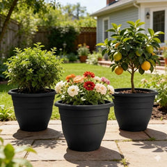 RooTrimmer planter in use with fiddle-leaf fig demonstrating stylish display