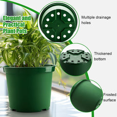 RooTrimmer 10-inch pot with herb planted demonstrating easy transplanting