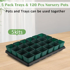 RooTrimmer top view of a 24-cell tray illustrating compact 4x6 pot layout for easy transport