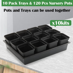 RooTrimmer tray holding water, non-drip design keeps nutrients available