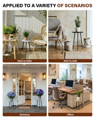 SAKSUN tall stand holding a snake plant by a window improving light access benefit