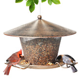 Samhe front view showing sturdy metal feeder protecting seeds