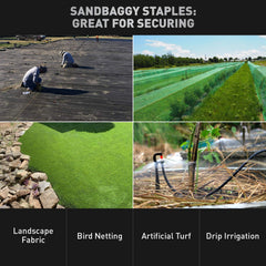 Sandbaggy staple driven into hard soil illustrating strength and reliable hold