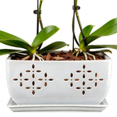 Sanmudecor front view of white orchid pot showing elegant silhouette and easy styling benefit